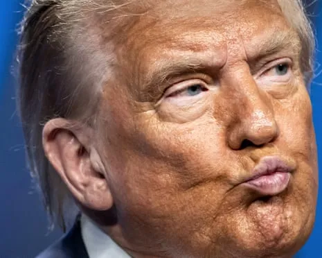 Trump vs Facts Overview: No Other Channel Would Dare TV So Bold (while also) Mind-Numbing