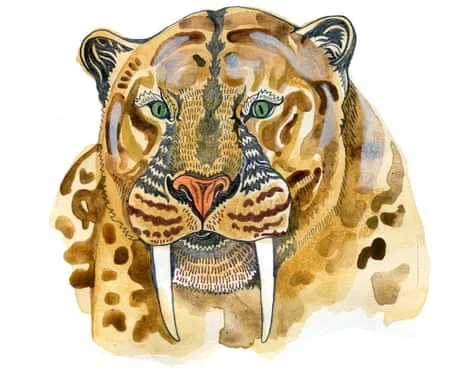Kids' Trivia: Unpacking Fascinating Queries About Nature