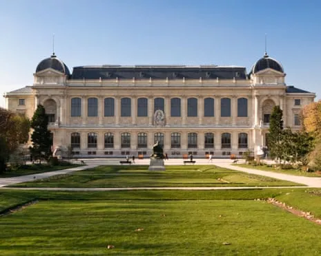 Historic Golden Samples Snatched in Audacious Raid at France's National Institution