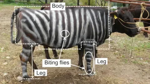 Black-and-White Bovines and Slippery Edibles Win Humorous Research Honors