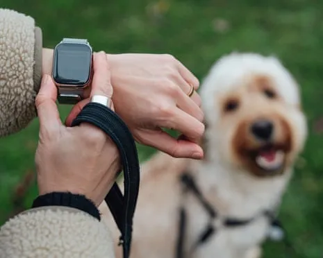 The Honest Scoop About Wearable Tech? Living Feels Fuller Devoid of a Hectoring Gadget on Your Arm