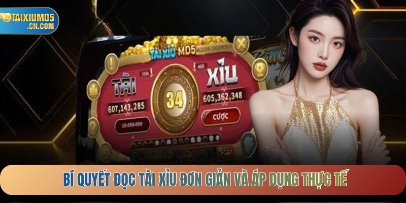 Bí quyết đọc tài xỉu đơn giản và áp dụng thực tế
