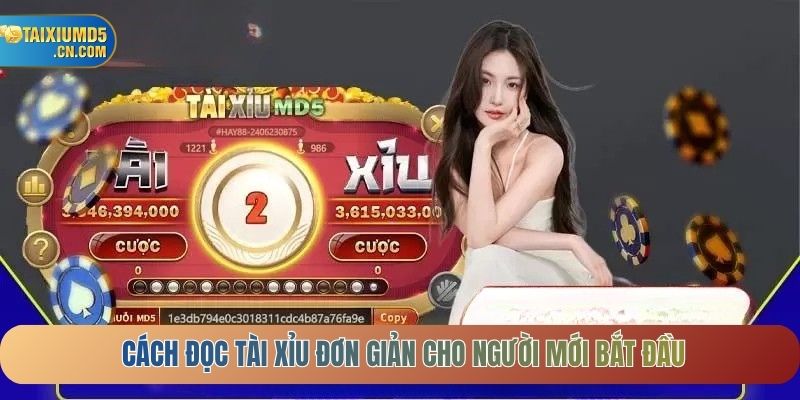 Cách đọc tài xỉu đơn giản cho người mới bắt đầu