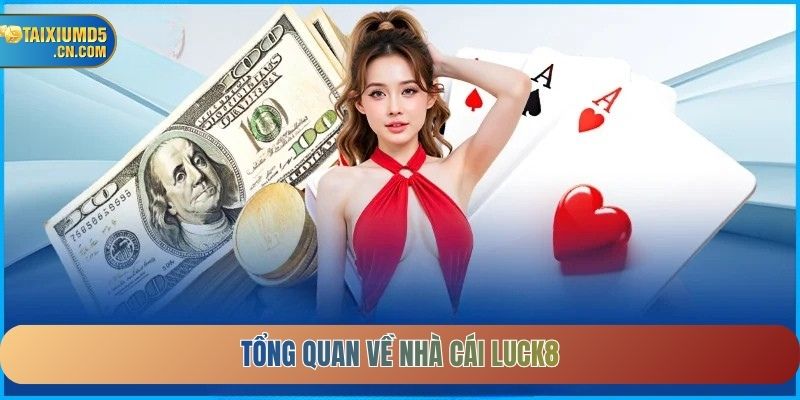 Tổng quan về Nhà cái LUCK8