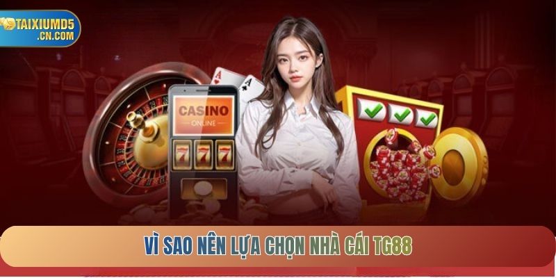 Vì sao nên lựa chọn nhà cái TG88