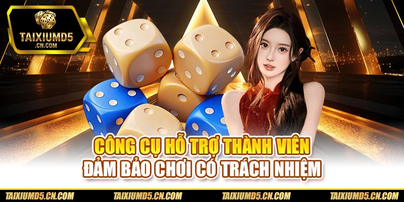 Công cụ hỗ trợ thành viên đảm bảo chơi có trách nhiệm