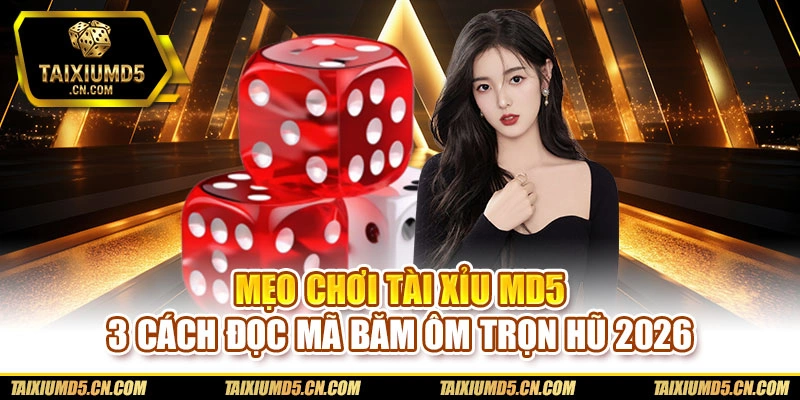 Mẹo chơi Tài xỉu md5