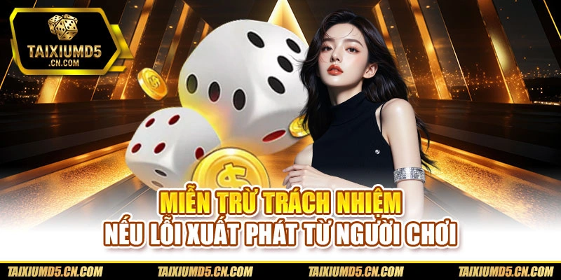 Miễn trừ trách nhiệm nếu lỗi xuất phát từ người chơi
