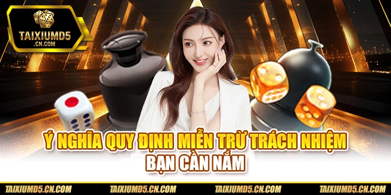 Ý nghĩa quy định miễn trừ trách nhiệm bạn cần nắm