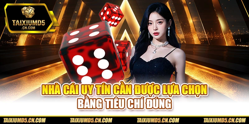 Nhà cái uy tín cần được lựa chọn bằng tiêu chí đúng