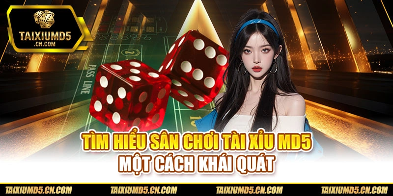 Tìm hiểu sân chơi Tài xỉu md5 một cách khái quát