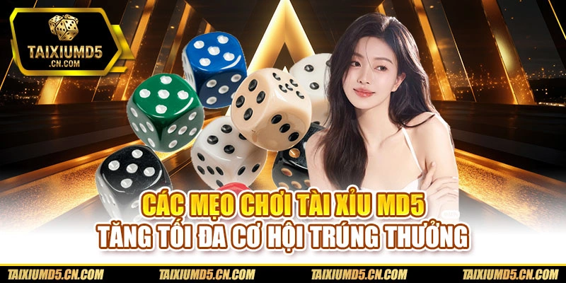 Các mẹo chơi Tài xỉu md5 tăng tối đa cơ hội trúng thưởng